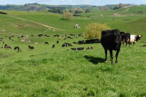 Photo of property in 1090 Rangiatea Road, Otewa, Otorohanga, 3972