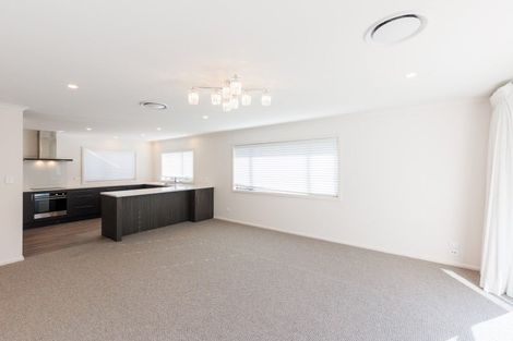 Photo of property in 14b Knowles Street, Terrace End, Palmerston North, 4410