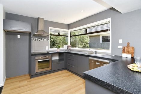 Photo of property in 42 Hope Street, Shirley, Christchurch, 8013