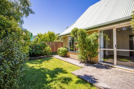 Photo of property in 99 Malcolm Avenue, Beckenham, Christchurch, 8023