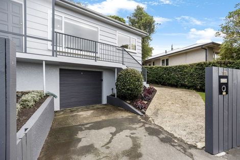 Photo of property in 117 Highgate, Roslyn, Dunedin, 9010