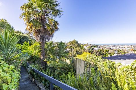 Photo of property in 19 Havelock Road, Hospital Hill, Napier, 4110