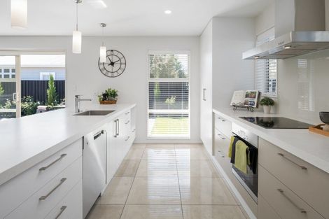 Photo of property in 73d Mclauchlan Street, Springlands, Blenheim, 7201