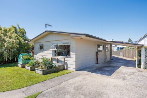 Photo of property in 102 Denbigh Street, Feilding, 4702