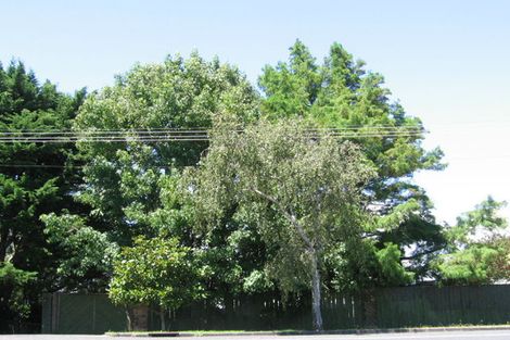 Photo of property in 169 West Tamaki Road, Glen Innes, Auckland, 1072