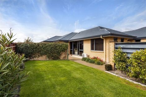 Photo of property in 13 Tremorne Avenue, Blenheim, 7201