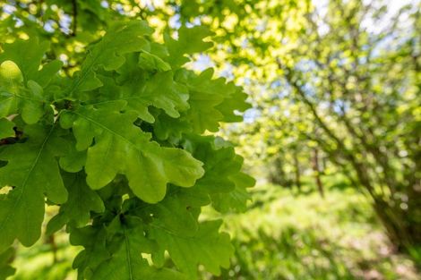 Photo of property in 64 Littles Drive, Waikari, 7420