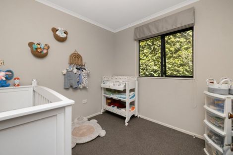 Photo of property in 137 Ohauiti Road, Hairini, Tauranga, 3112