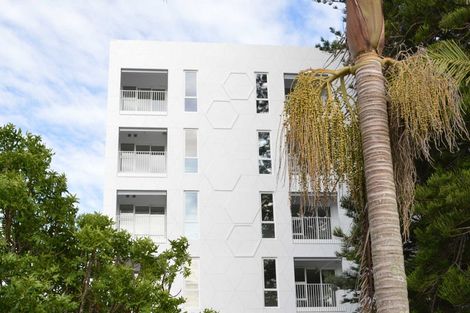 Photo of property in 404/11 Akepiro Street, Mount Eden, Auckland, 1024