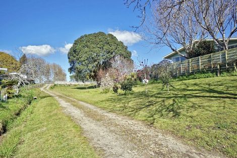 Photo of property in 67 Queen Street, Te Puke, 3119