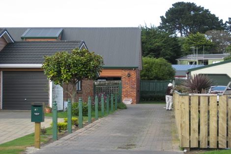 Photo of property in 21 Nikau Street, Tawhero, Whanganui, 4501