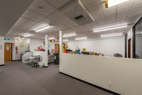 Photo of property in 22 Raroa Road, Kelburn, Wellington, 6012