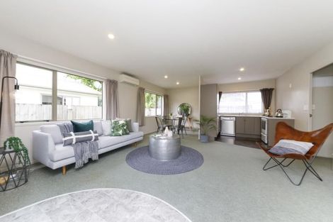 Photo of property in 47a Leeds Street, Milson, Palmerston North, 4414