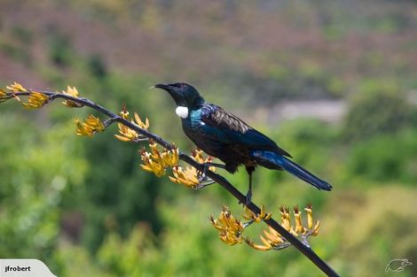 Photo of property in 105 Marahau Valley Road, Marahau, Motueka, 7197