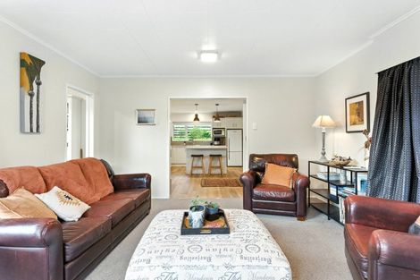 Photo of property in 32 Tararua Street, Pahiatua, 4910