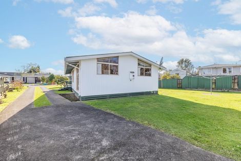 Photo of property in 3 Glendon Place, Otorohanga, 3900
