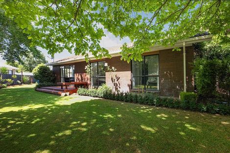 Photo of property in 13 Ashby Grove, Kaiapoi, 7630