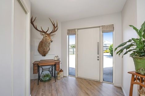 Photo of property in 31 Suffolk Street, Hampstead, Ashburton, 7700