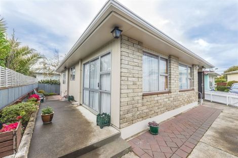 Photo of property in 24b Fitzherbert Avenue, Springvale, Whanganui, 4501