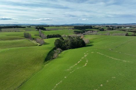 Photo of property in 41 Gray Road, Waitepeka, Balclutha, 9271