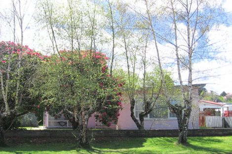 Photo of property in 46 Brice Street, Tauhara, Taupo, 3330