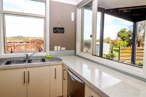 Photo of property in 101 Heale Street, Thames, 3500