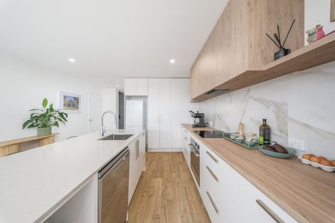 Photo of property in 119c Ruskin Street, Addington, Christchurch, 8024