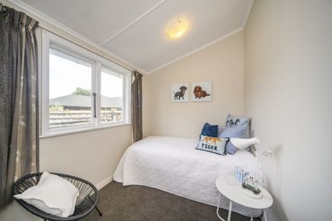 Photo of property in 21a Haydon Street, Roslyn, Palmerston North, 4414