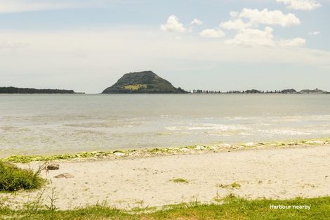 Photo of property in 178b Ngatai Road, Otumoetai, Tauranga, 3110