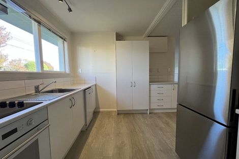 Photo of property in 84 Mathesons Road, Phillipstown, Christchurch, 8011