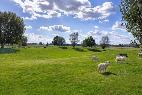 Photo of property in 81 Mcghie Road, Kihikihi, Te Awamutu, 3875