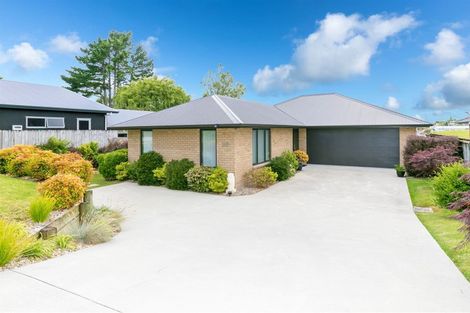 Photo of property in 207 Raeburne Street, Te Awamutu, 3800