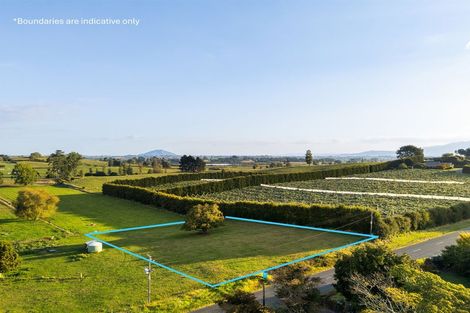 Photo of property in 55 Forkert Road, Ohaupo, 3803