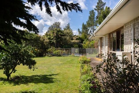 Photo of property in 233b Oropi Gorge Road, Oropi, Tauranga, 3173