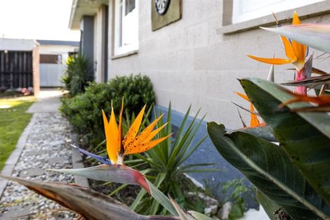 Photo of property in 15 Lybster Street, Blenheim, 7201