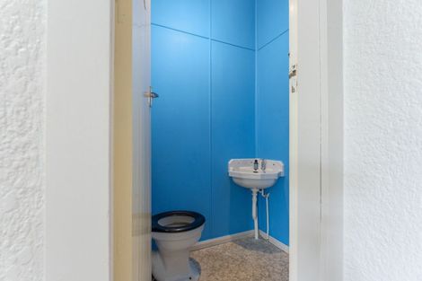 Photo of property in 645 Ferguson Street, Terrace End, Palmerston North, 4410