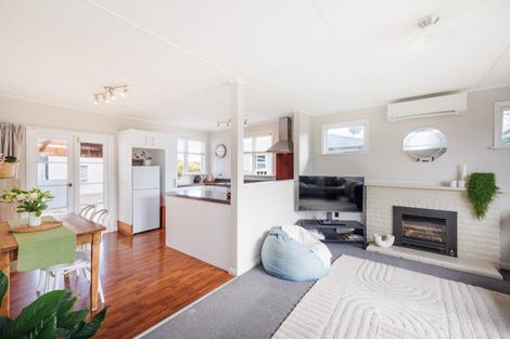 Photo of property in 19 Salisbury Avenue, Terrace End, Palmerston North, 4410