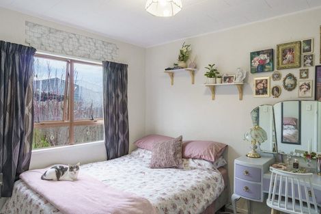 Photo of property in 19 Skerrett Crescent, Tamatea, Napier, 4112