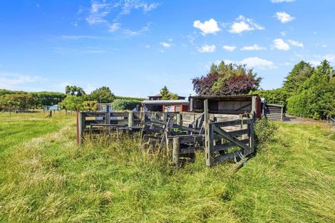 Photo of property in 49 Beach Road East, Elgin, Ashburton, 7777