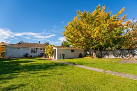 Photo of property in 53 Campbell Street, Geraldine, 7930