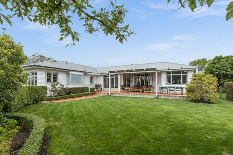 Photo of property in 42 Mchardy Street, Havelock North, 4130