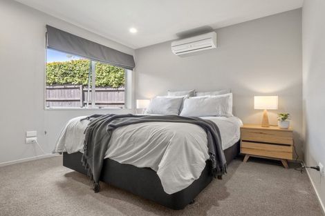 Photo of property in 14b Karetu Road, Greenlane, Auckland, 1051