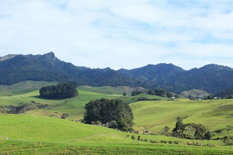 Photo of property in 76 Te Ahiawa Road, Raglan, 3297