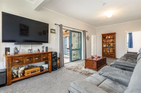 Photo of property in 17 Havelock Street, Renwick, 7204