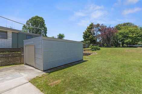 Photo of property in 24 David Street, Morrinsville, 3300