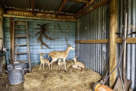 Photo of property in 23 Settlement Road, Waimate, 7979