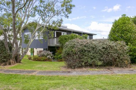 Photo of property in 3 Rangiwhero Street, Omori, Turangi, 3381