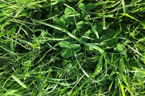 Photo of property in 51 Mcleod Road, Waipapa, 0295