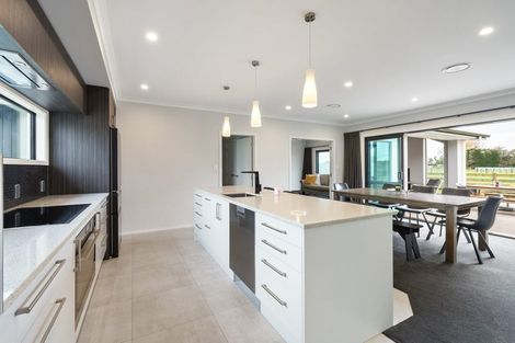 Photo of property in 170 Shirriffs Road, Awapuni, Palmerston North, 4412