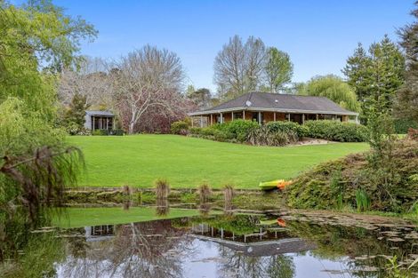 Photo of property in 60 Robinson Road, Coatesville, Albany, 0793